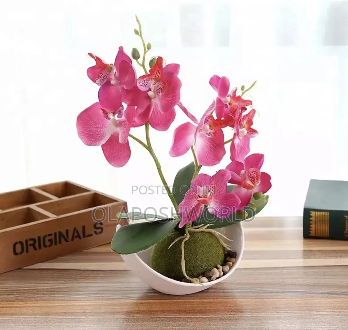 Orchid Flower Pot