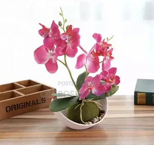 Orchid Flower Pot