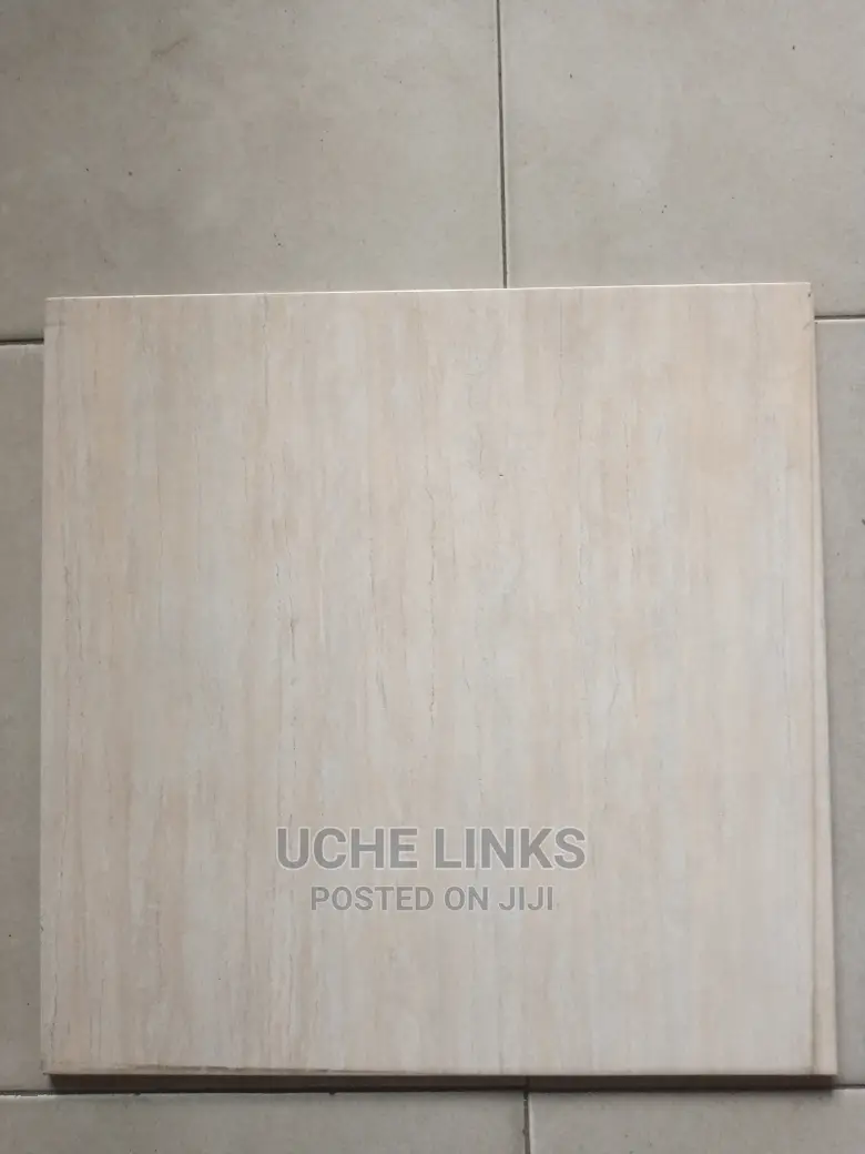 60*60 Porclen Tiles