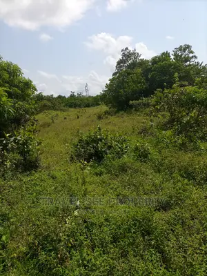 Gazetted Land's Survey New International Airport Ibeju Lekki
