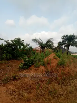 1 Plot of Land at Amansea Near Express