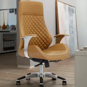 Ergonomic Executive Director Office Chair