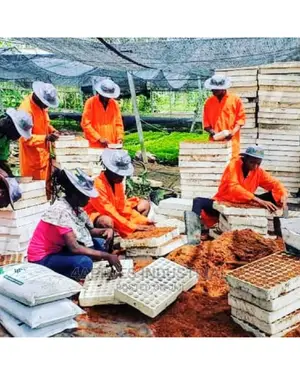 Coco Coir (Coir Pith or Cocopeat) 5kgs Bag