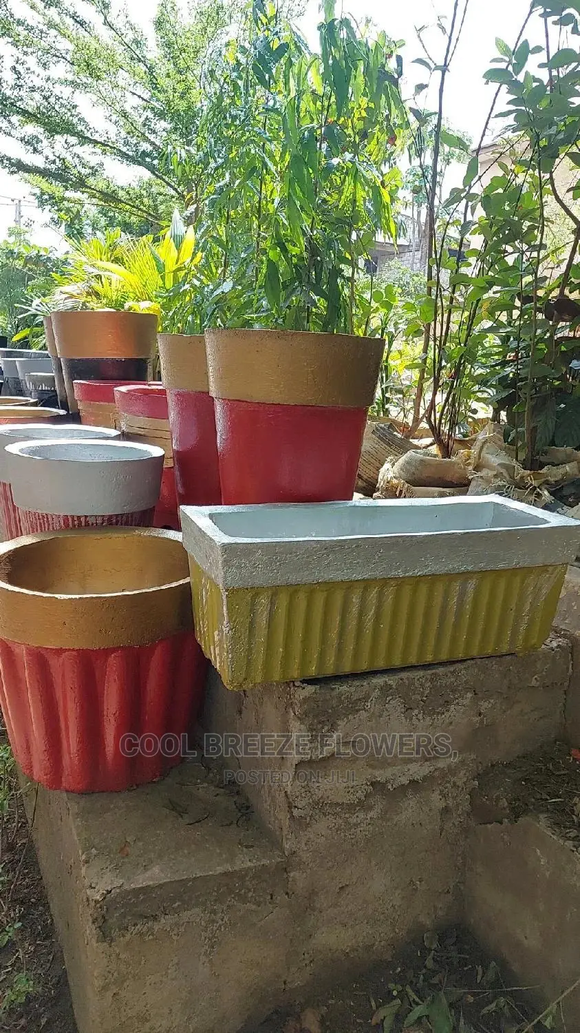 Nice FLOWERS-POTS