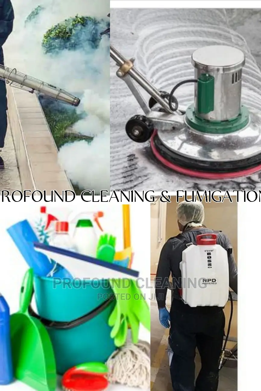 Cleaning And Fumigation Service