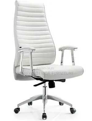 Ergonomic High Back Office Chair