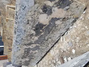 Exotic Creamer Granite/Marble Slab