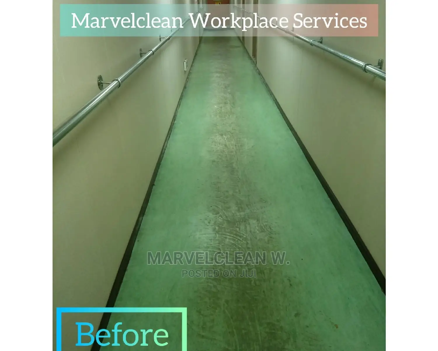 Professional Cleaners
