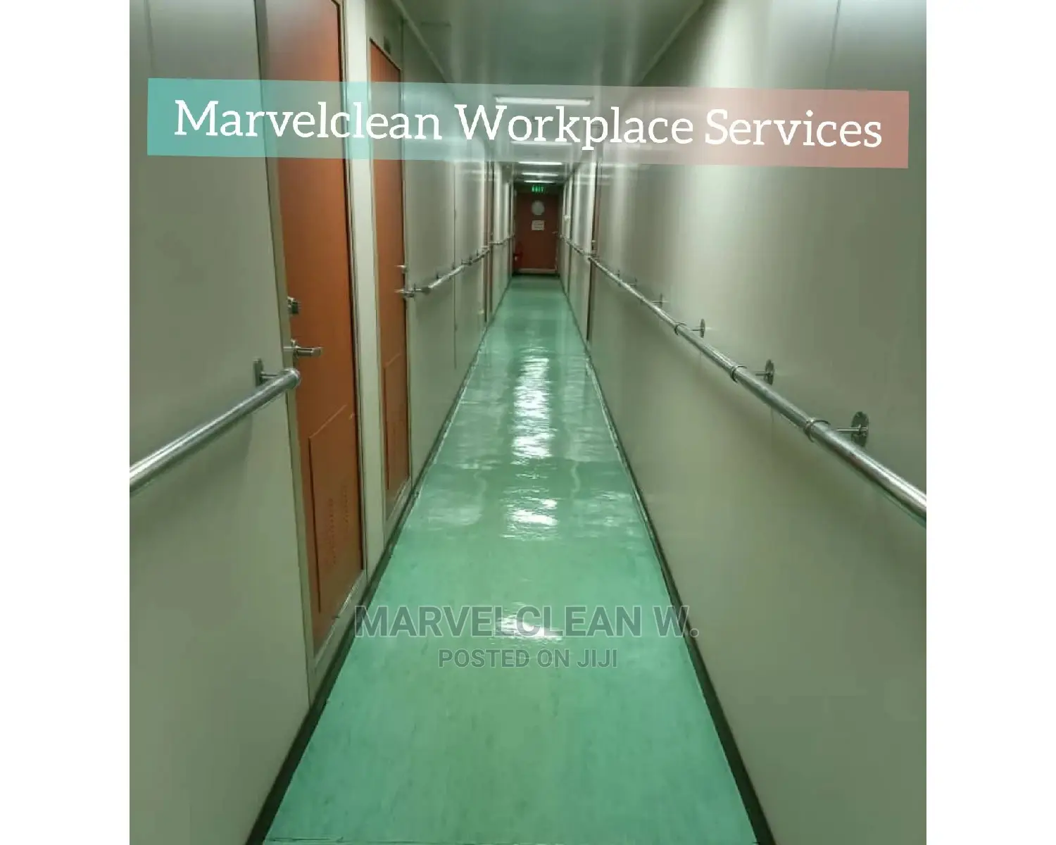 Professional Cleaners