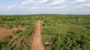 Affordable Land for Sale in Enugu