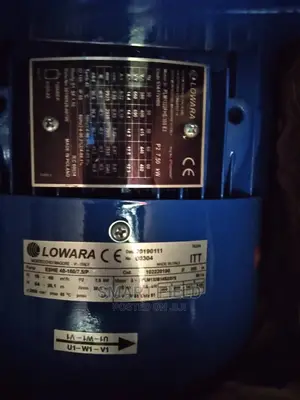 Lowara Stainless Steel Pump