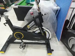 Brand New Skyline Spinning Bike
