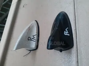 Kia and Hyundai Roof Antennas Available Here.