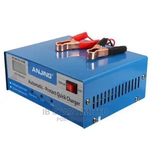 Automatic Intelligent 12/24v Pulse Car Battery Charger
