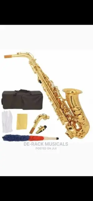 The Best Quality Alto Saxophone