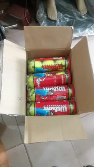 1 Carton Of Wilson Lawntennis Balls