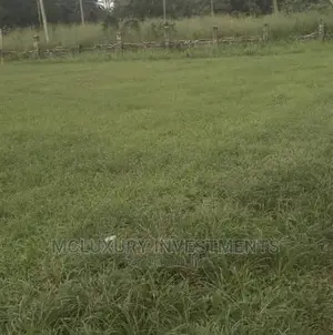 Hot Sales! 42 Plots of Bareland Facing the Express Ogombo Rd