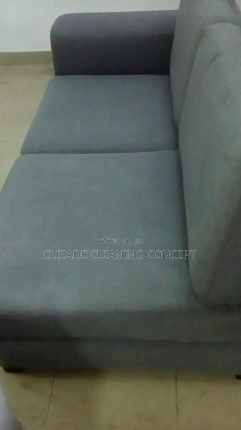 Profesional Sofa or Couch Clean