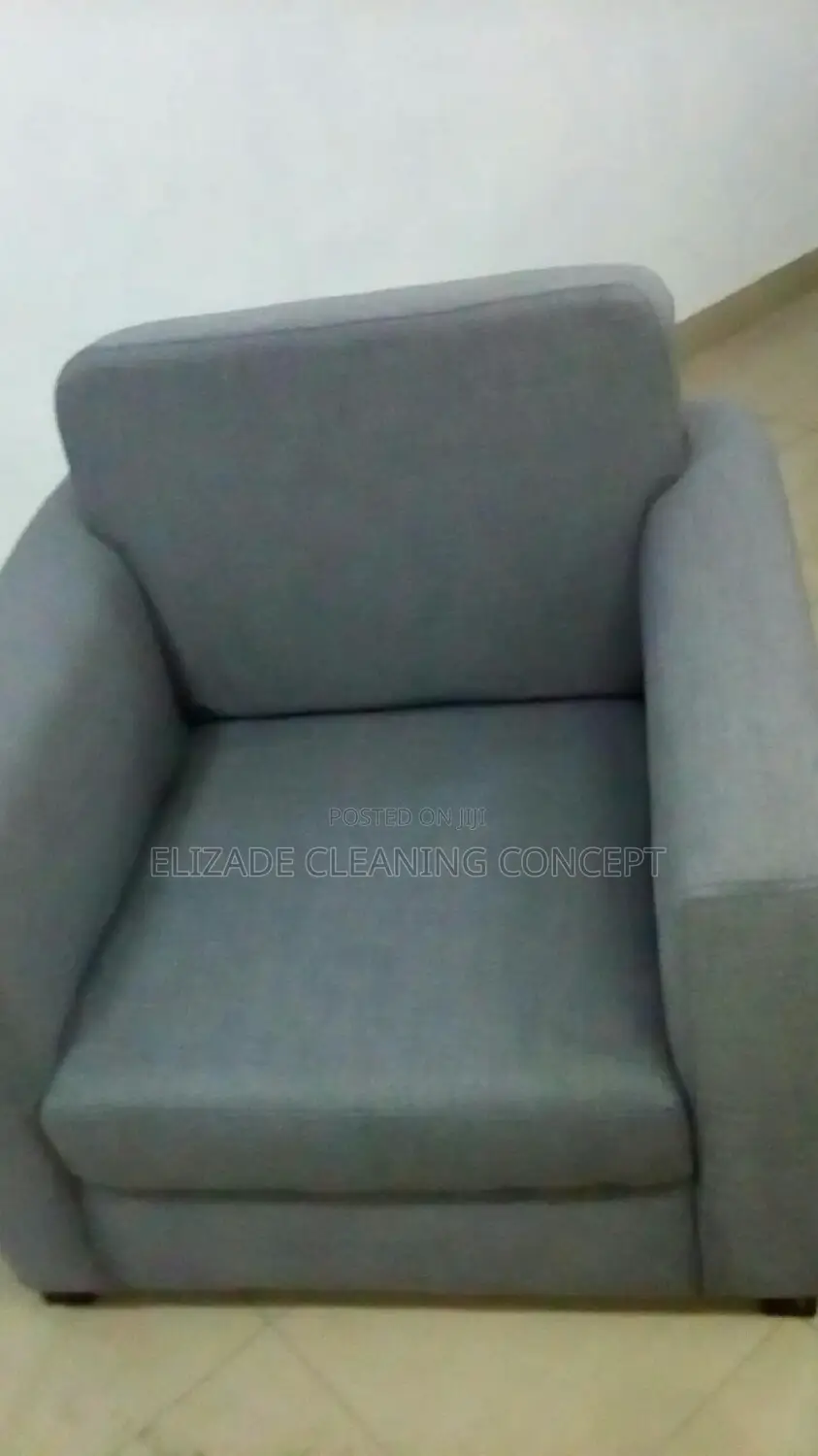 Profesional Sofa or Couch Clean