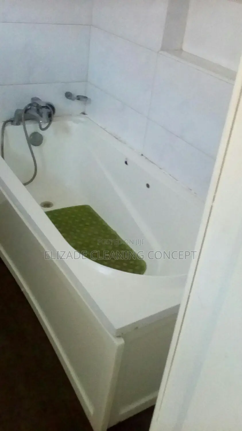 Professional Cleaning Service