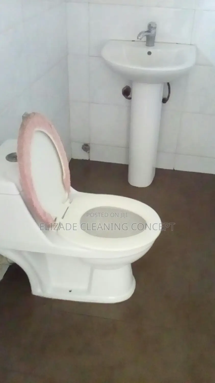 Professional Cleaning Service