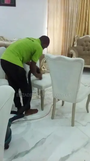 Profesional Sofa or Couch Clean