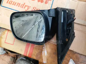 Lexus Rx330 Side Mirror