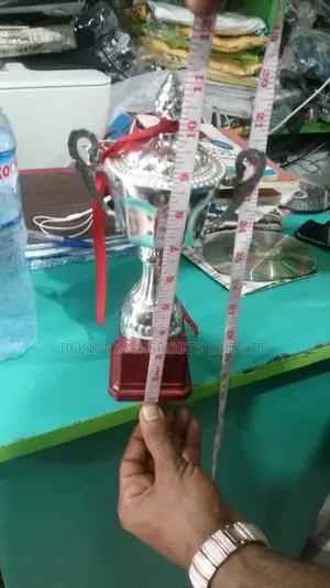 11 Inches Hight Silver Medium Trophy