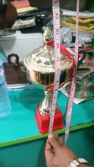 Gold Trophy 13 Inches