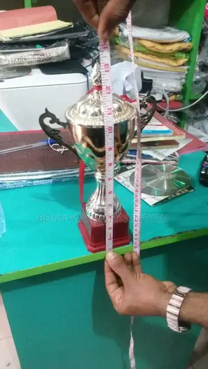 Medium Gold Nd Silver Trophy 11