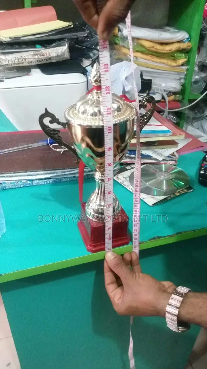 Medium Gold Nd Silver Trophy 11