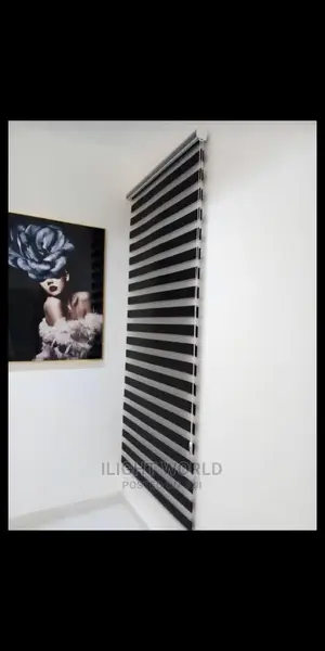Quality Adjustable Day and Night Window Blinds.