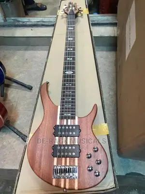 The Professional Electric Guitar for Professionals
