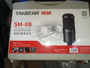 Takstar Studio Mic