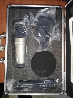 Classic Audio Studio Mic