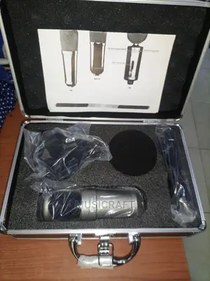 Classic Audio Studio Mic