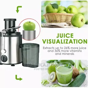 Electric Fruit Juicer