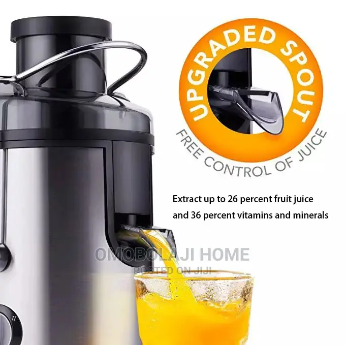 Electric Fruit Juicer