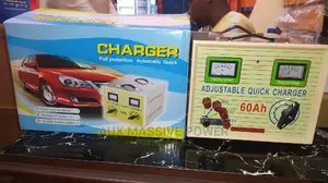 Automatic 60ah Battery Charger