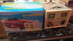Automatic 60ah Battery Charger