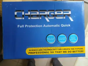 30ah Automatic Battery Charger