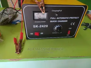 30ah Automatic Battery Charger