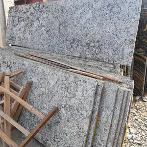 Italian Alaska White Marbles/Granite Slab