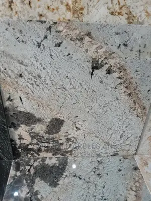 Italian Exotic Marble/Granite 90x90 2cm Floor Tiles