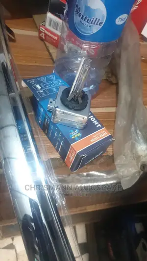 LED Bulb Ford Edge