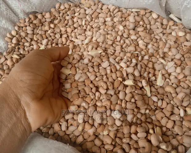 Brown Beans,50kg From Maiduguri, in Maiduguri - Meals & Drinks, Ezinne Iheanacho | Jiji.ng
