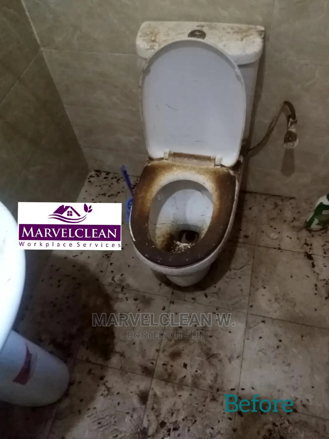Professional Cleaners