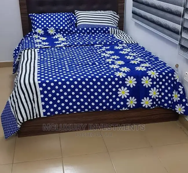 Mini Flat Shortlet Apartment Well Decorated in Omole Phase1