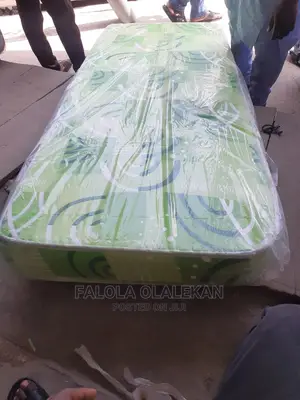 2.5 by 6inches Dream Mattress