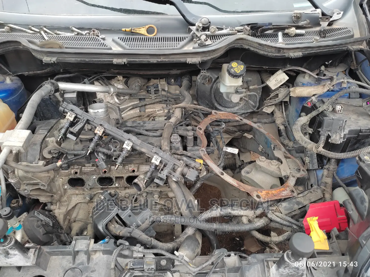 Ford Specialist